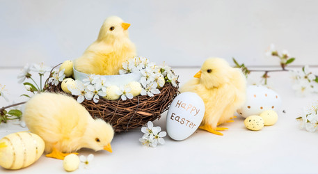 Similar image 21282234