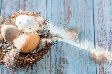 Similar image 21287427