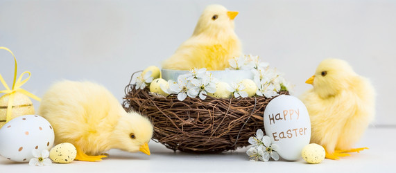 Similar image 21287927