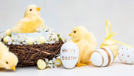 Similar image 21287930