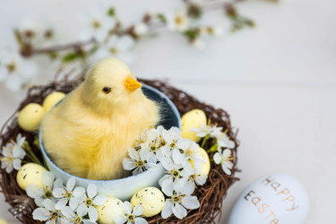 Similar image 21282676