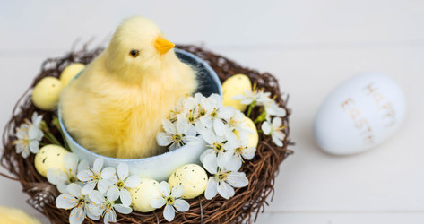 Similar image 21288023