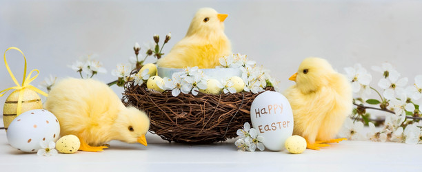 Similar image 21282677