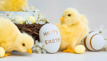 Similar image 21282679