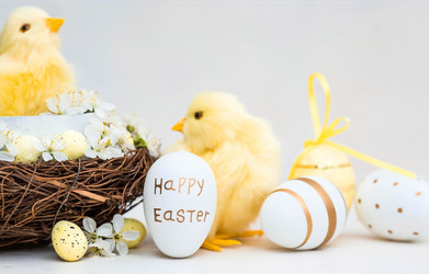 Similar image 21288029