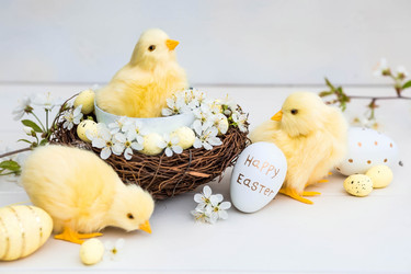 Similar image 21288032