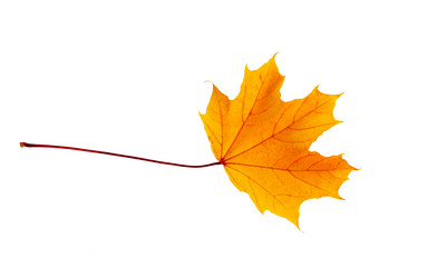 Similar image 21280720