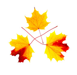 Similar image 21280721