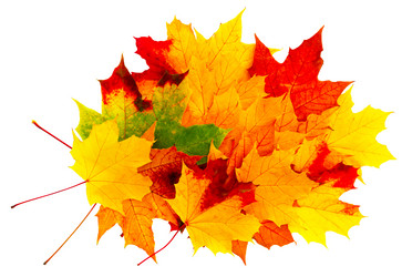 Similar image 21280722