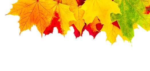 Similar image 21280723