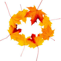 Similar image 21280724