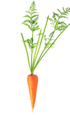 Similar image 21280521