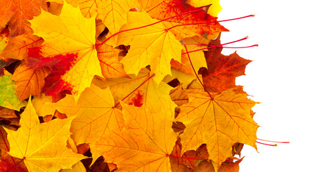 Similar image 21280523