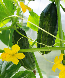 Similar image 21280525