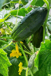 Similar image 21280526