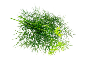 Similar image 21280533