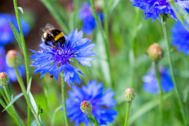 Similar image 21280537