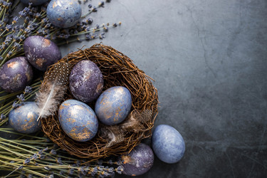 Similar image 21287444