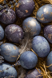 Similar image 21282640