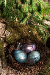 Similar image 21282059