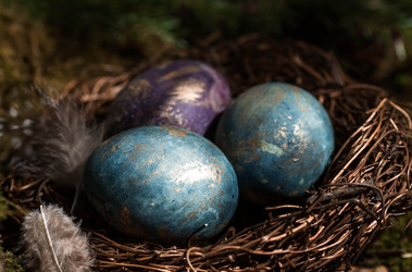 Similar image 21282061