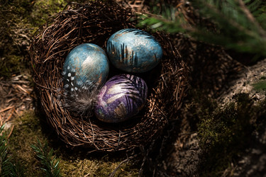 Similar image 21282063