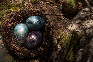 Similar image 21282064