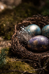 Similar image 21282066