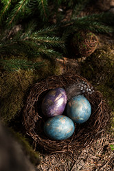 Similar image 21282067