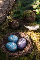 Similar image 21272409