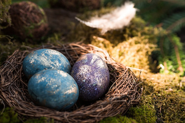 Similar image 21272410