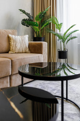 Similar image 21272932