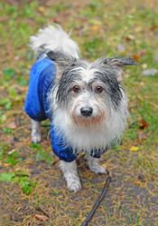 Similar image 21272718