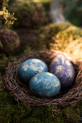 Similar image 21282143