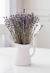 Similar image 21282418