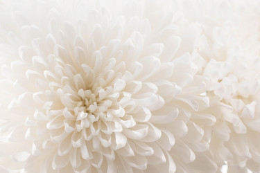 Similar image 21272587