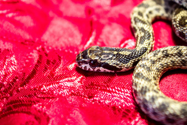 Similar image 21272809