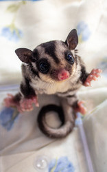 Similar image 21272812