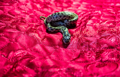 Similar image 21272813