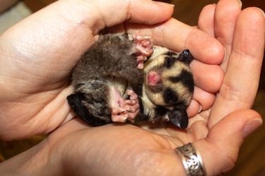 Similar image 21272814