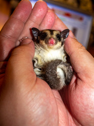 Similar image 21272815