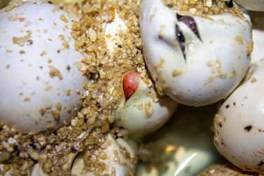 Similar image 21272816