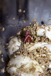 Similar image 21272817