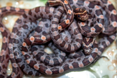 Similar image 21272819