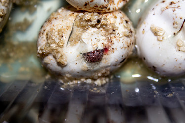 Similar image 21272820