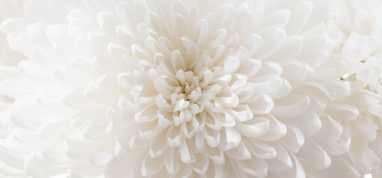 Similar image 21272590