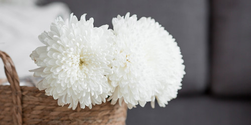 Similar image 21282607