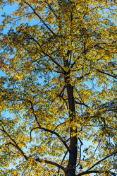 Similar image 21274543