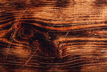 Similar image 21274545