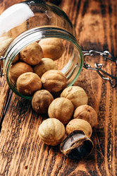 Similar image 21274489